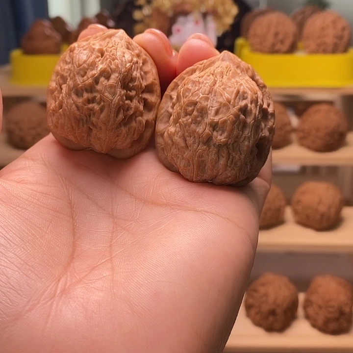 核桃37尺寸的金钱豹