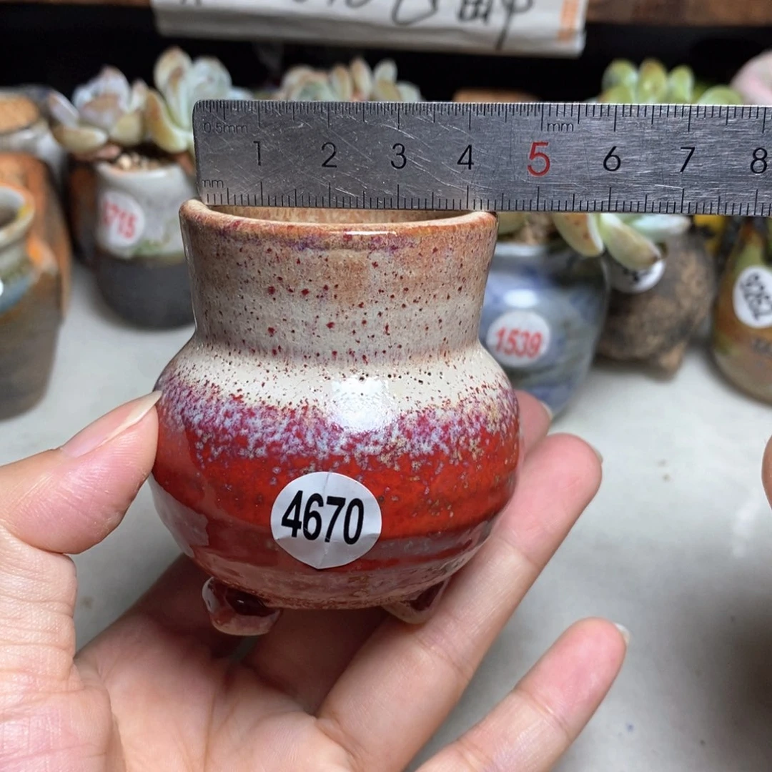 拍5送一个小礼物