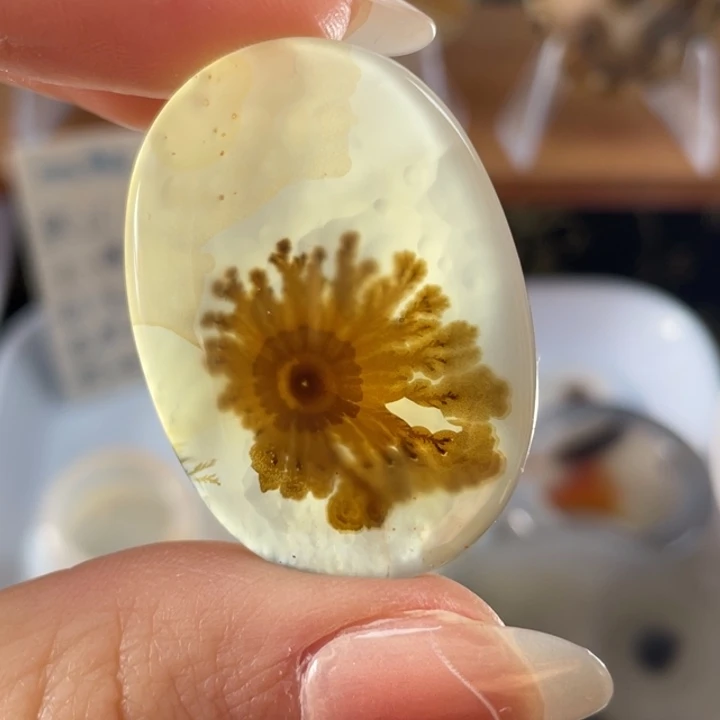 玛瑙/玉髓未镶嵌牌子