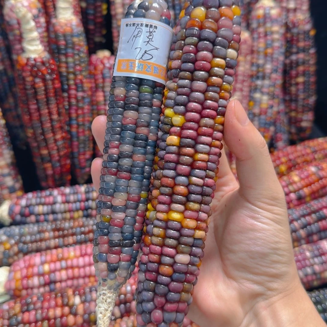 大叶紫檀（黑酸枝木类）伊*