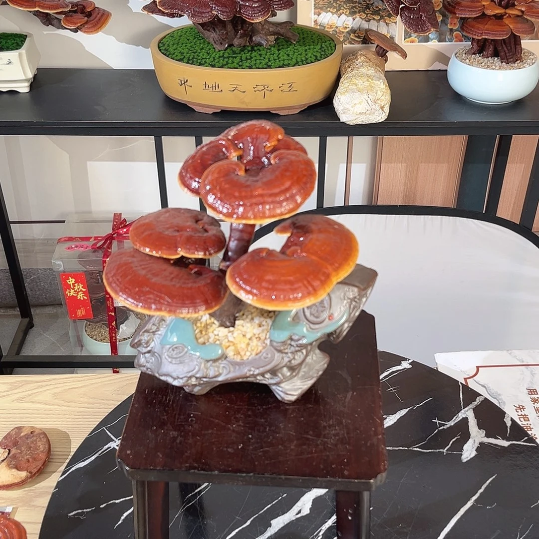 无花朵万事如意8888888888888