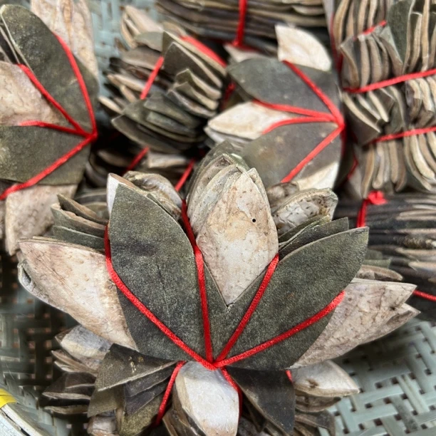 ［南粤橘珍］正宗化橘红-备用链接