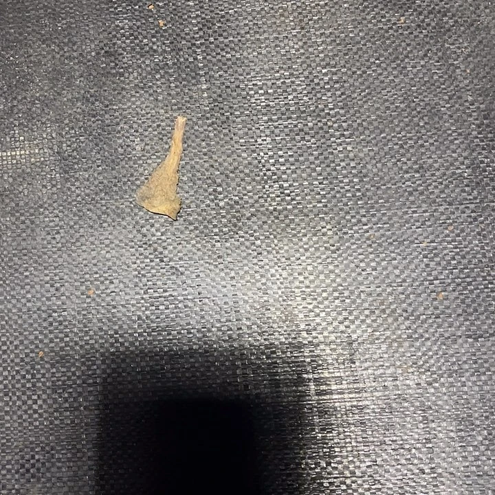 保温箱多肉植物保护000