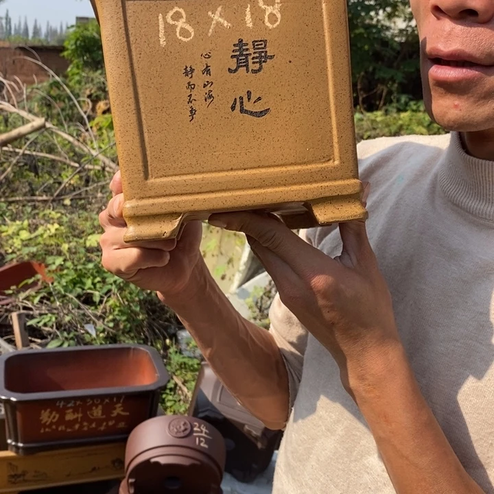 花盆紫砂紫砂艺术学院美术
