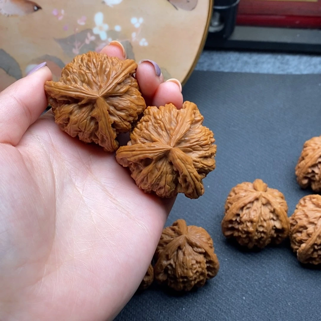 网**了白狮子1111111111