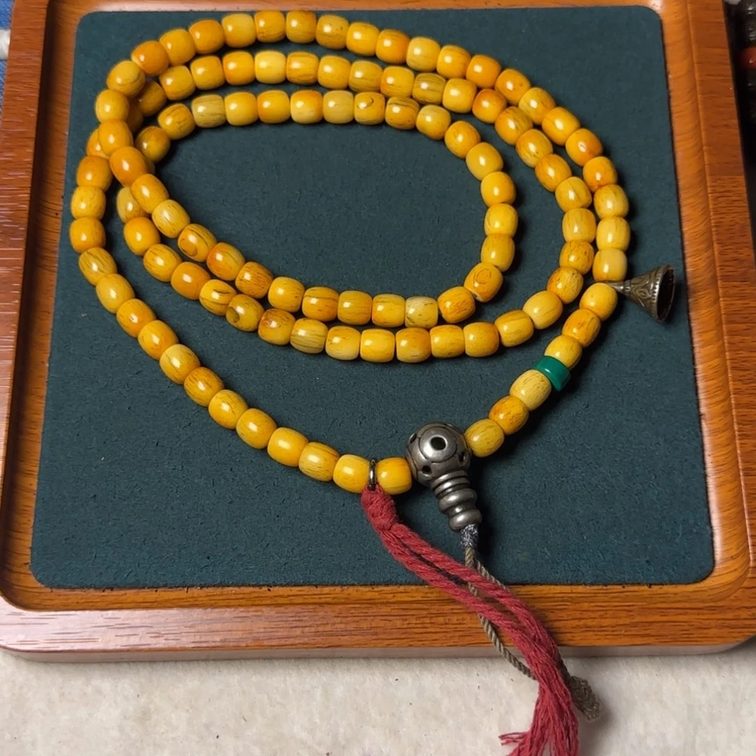 …………………………………………