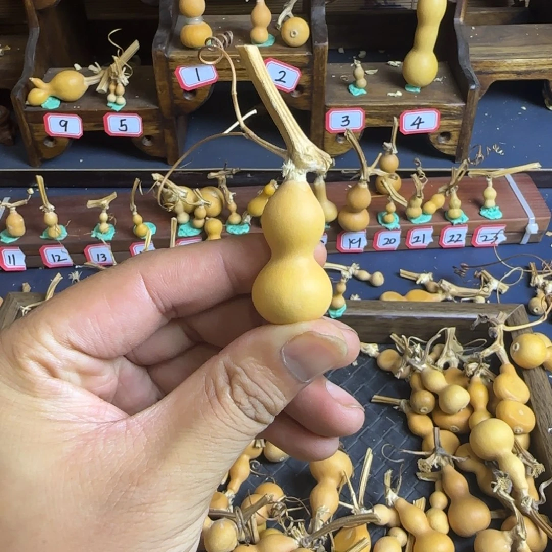 P*我是一只小小鸟地域鬼的人生