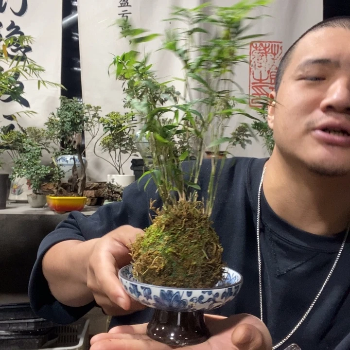 暖***】无花朵退款拉黑拉黑 100