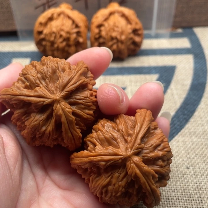 李***渺核桃白狮子43核桃