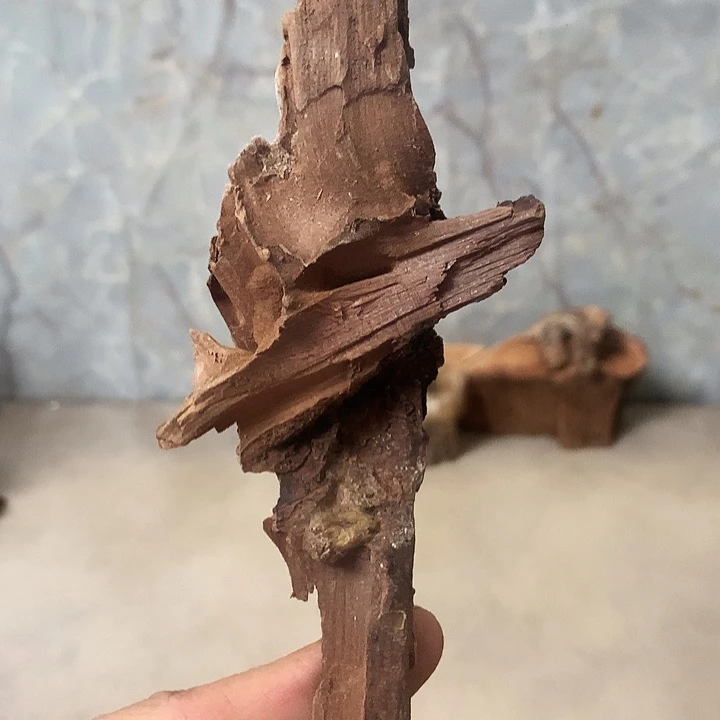 点***大叶紫檀（黑酸枝木类）