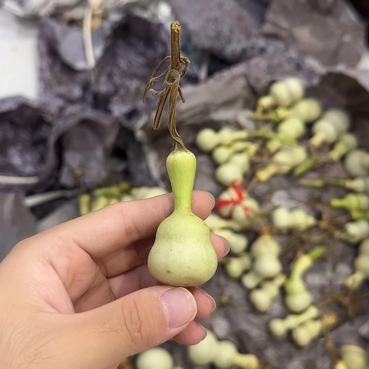 宇***治葫芦xndndnsnsdnsnsns