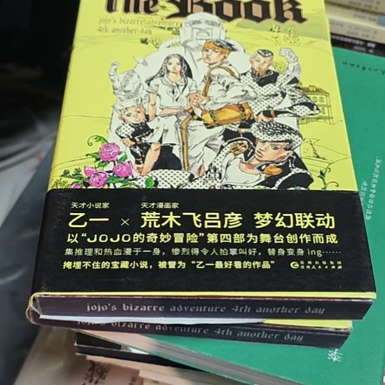 THE  BOOK书衣微瑕介务必塑封