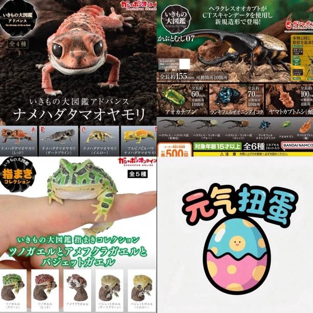 【生物大图鉴】 甲虫 瘤尾守宫 指上青蛙 扭蛋（随机1款）