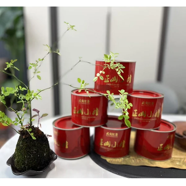 武夷山正山小种2024新茶原产桐木关高山红茶花果香浓香型品鉴装