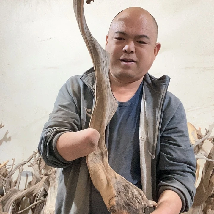 北太行山崖柏毛料