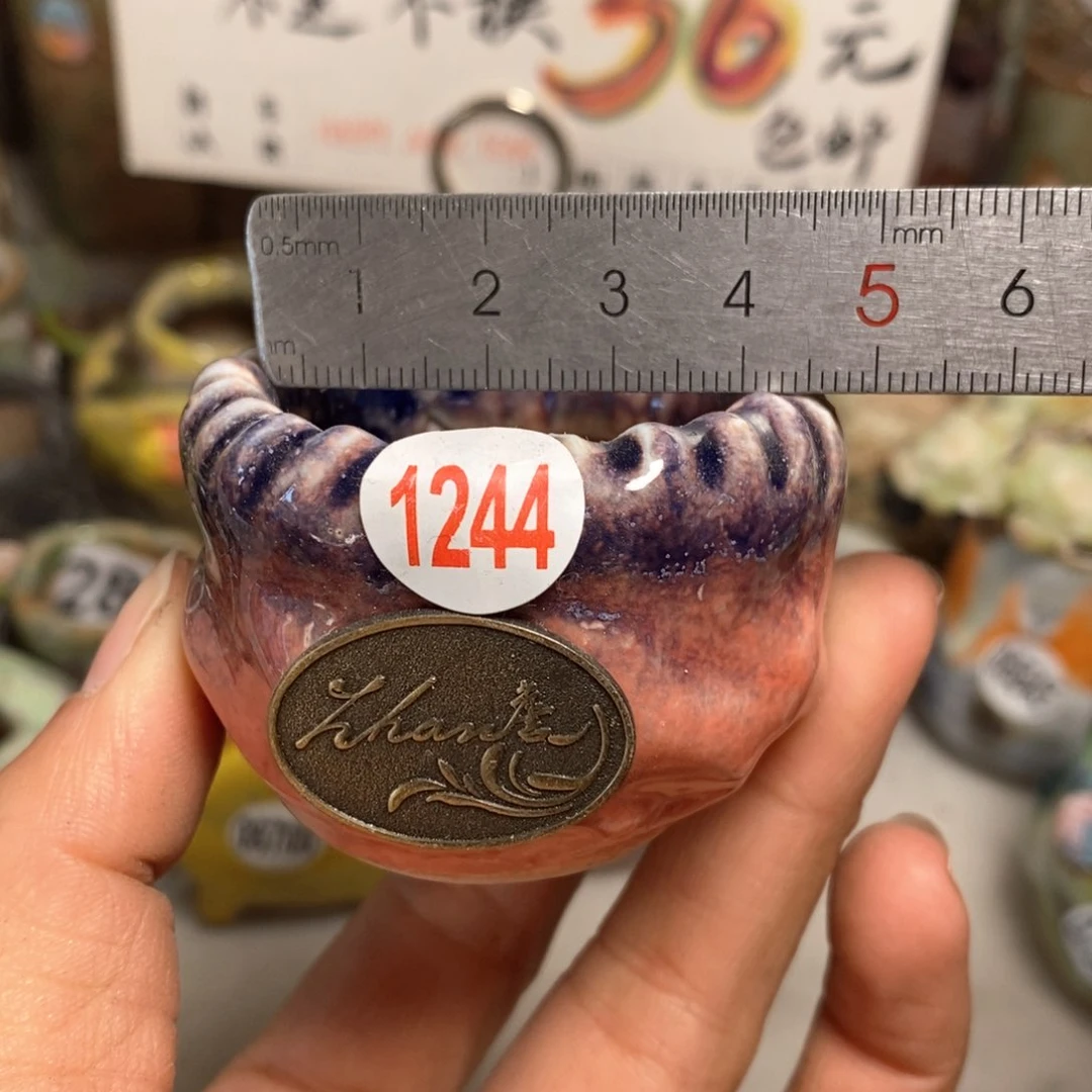 花盆拍5送一个小礼物