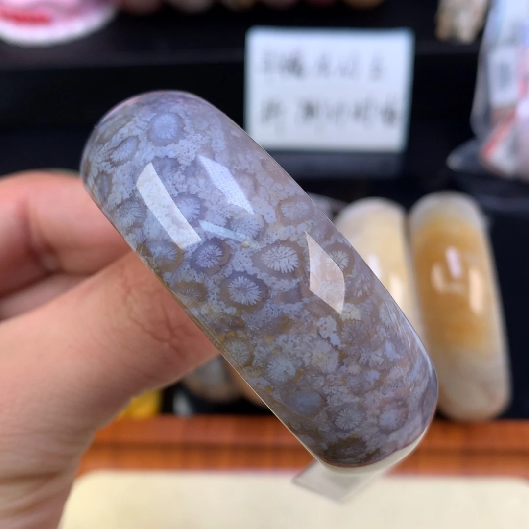 硅化珊瑚（珊瑚玉）未镶嵌颈饰23号紫蓝底豹纹52圈