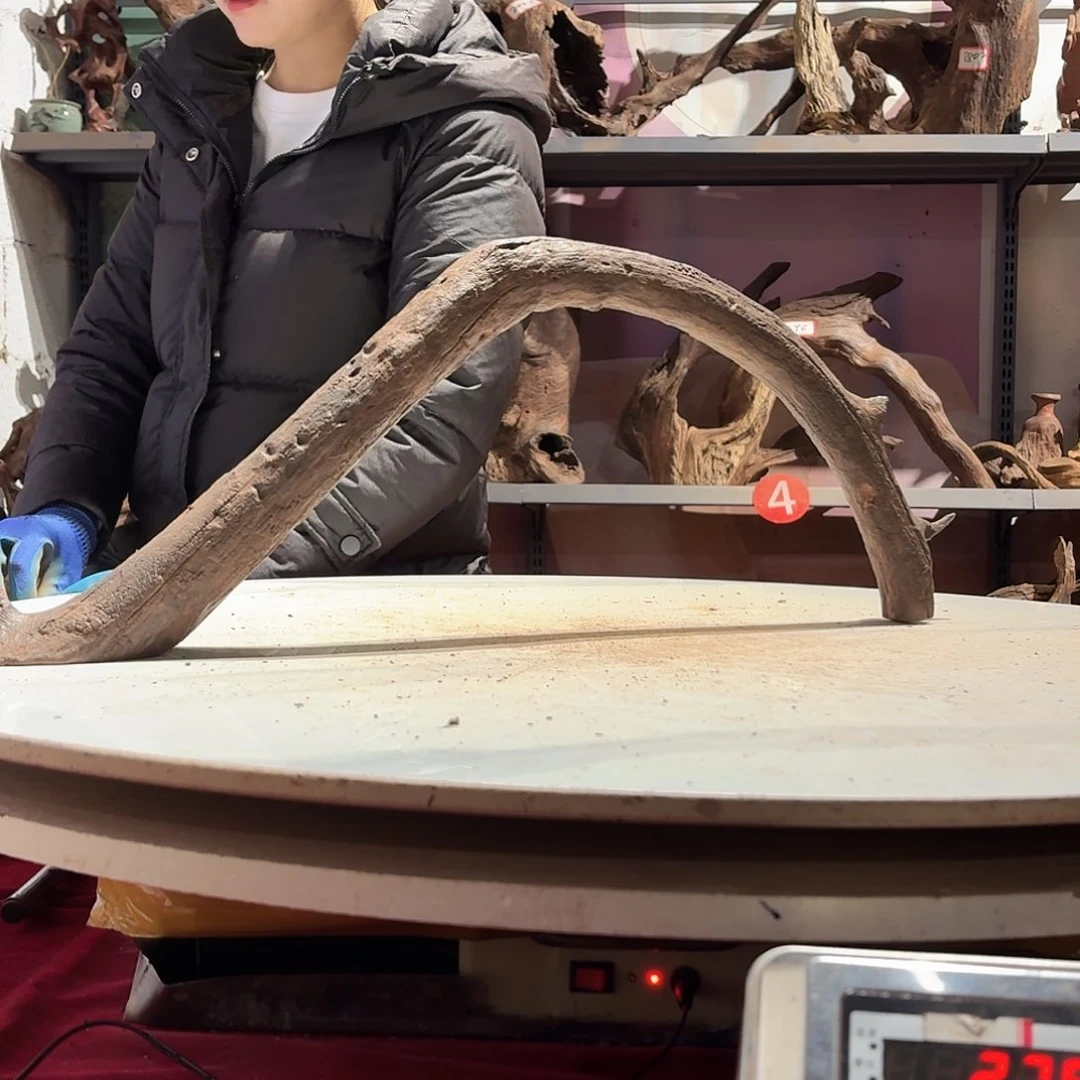 倍诸沉木不包损必褪色高7158