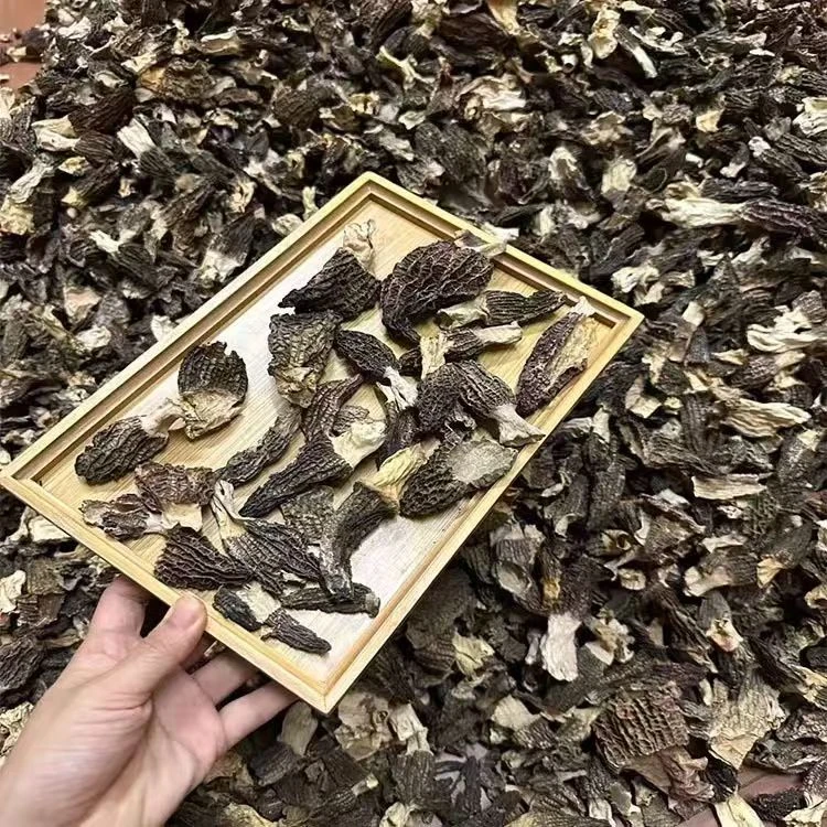 新货高山丑菇羊肚菌 2-6 有破损 自吃性价比很高，宝宝做辅食 煲汤