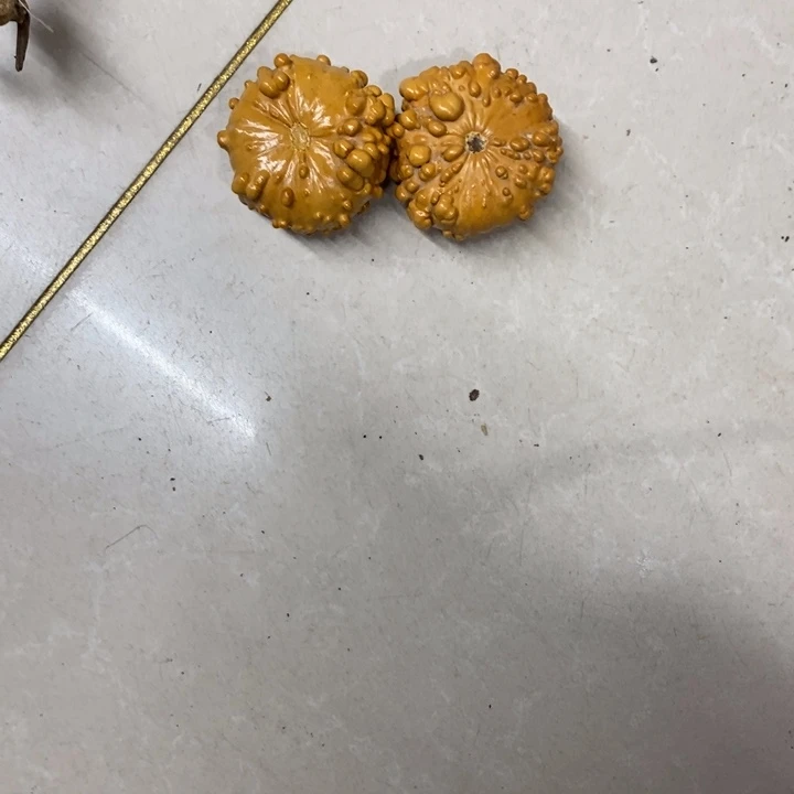 《***》葫芦…………………………….