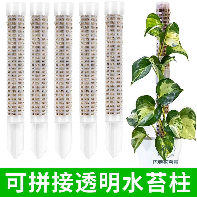 水苔柱可拼接爬藤植物攀附柱热植蔓绿绒绿萝龟背竹攀爬柱固定支架