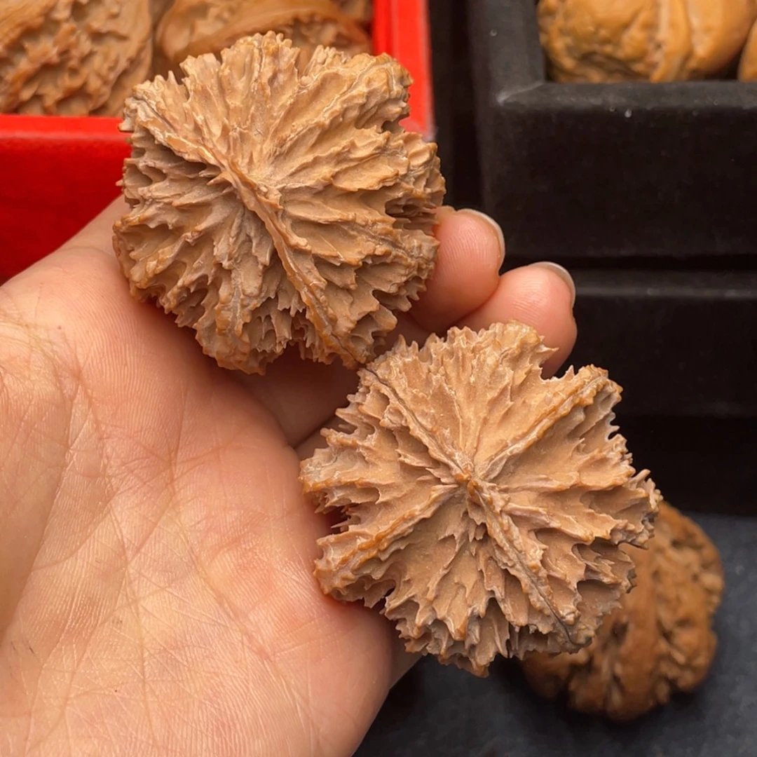 文玩核桃吊坠秦岭核桃7