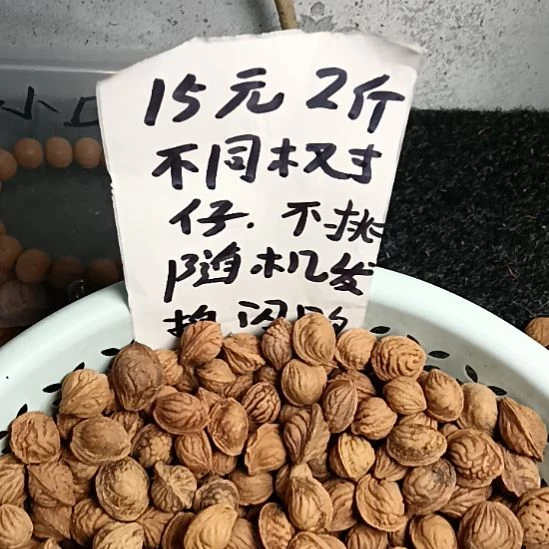 桃核吊坠野生龙麟15元2斤随机发
