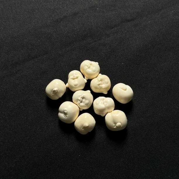 P262佛头珠 约珠径11+毫米 只做天然猛犸牙