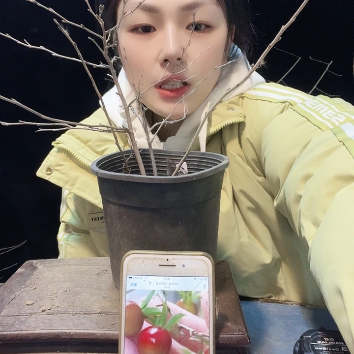 山***艺完全开放发个好纠结hhhhh哥哥哥