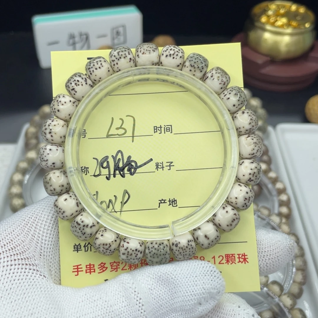 菩提籽类L绿河豚个