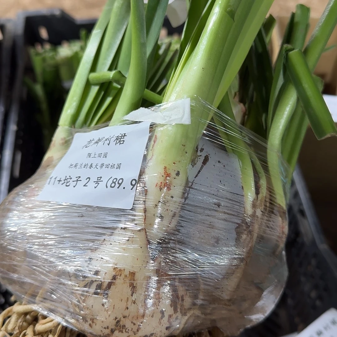 花瓣衬裙11+坨子号发发发