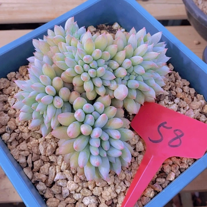 你就这样让自己后悔