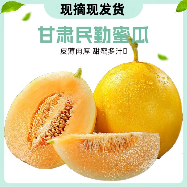 【亏本卖】正宗民勤蜜瓜沙漠蜜瓜新鲜水果当季热卖甜瓜香瓜非哈密瓜