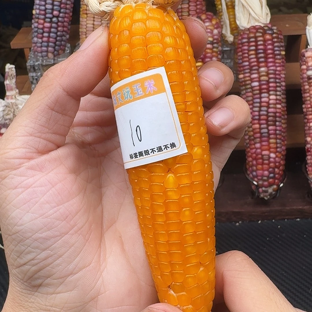●***玲柏香籽/百香籽吊坠