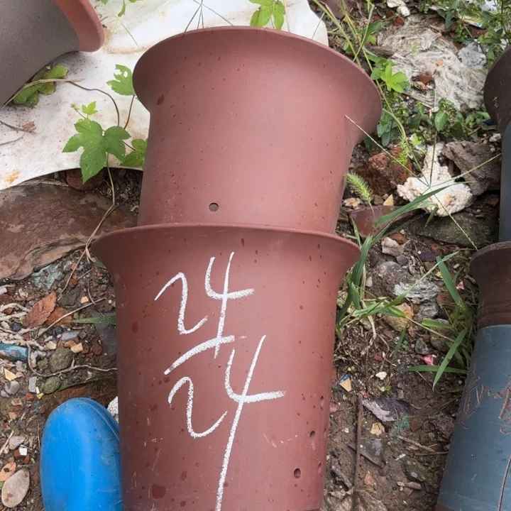 紫砂花盆紫砂的花