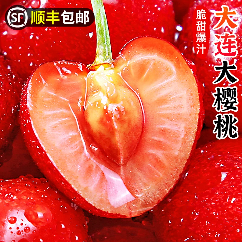 【顺丰包邮】大连大樱桃1.8-4.5斤砂蜜豆国产车厘子脆甜新鲜水果