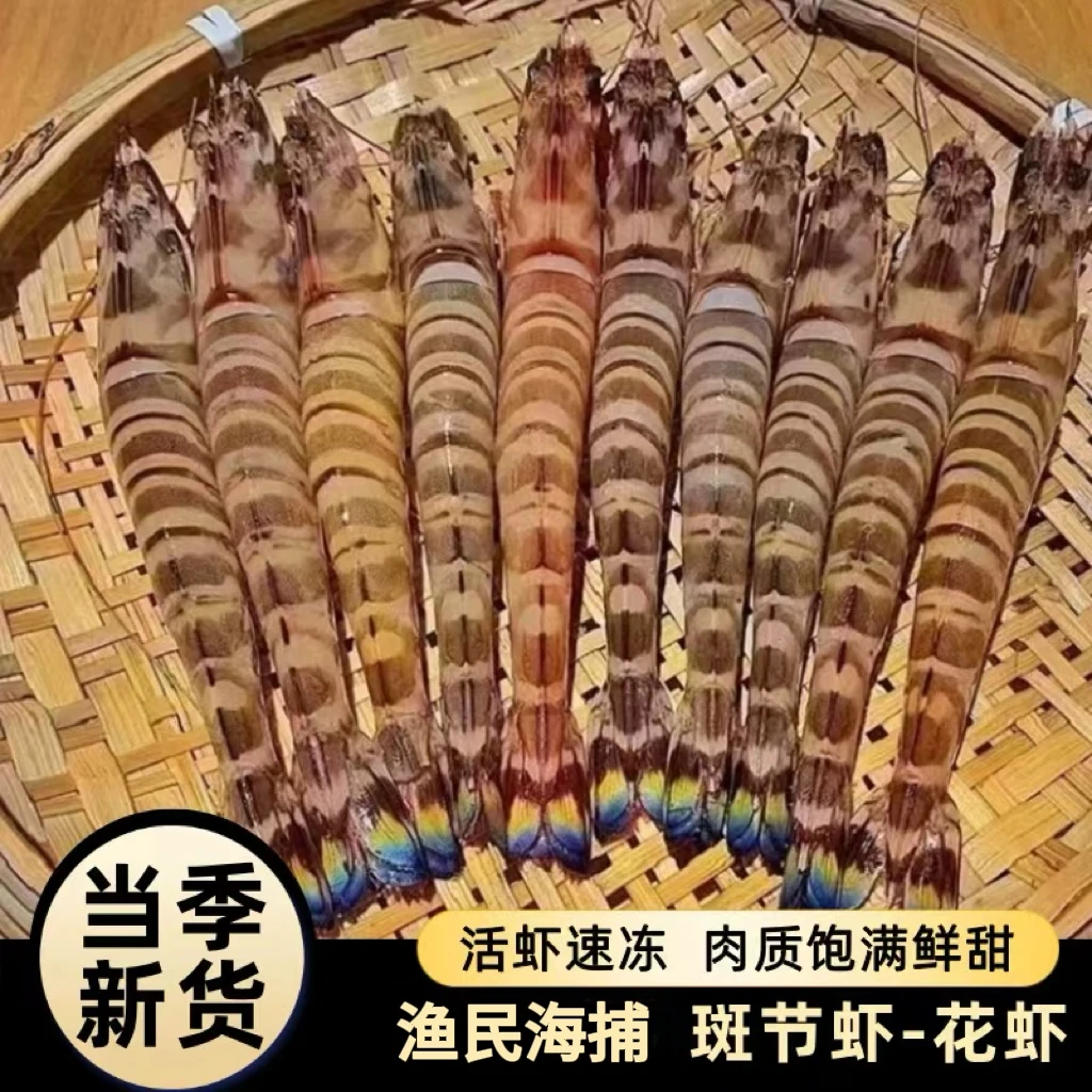 竹节虾超大斑节虾特大九节虾大虾基围虾鲜活速冻海虾