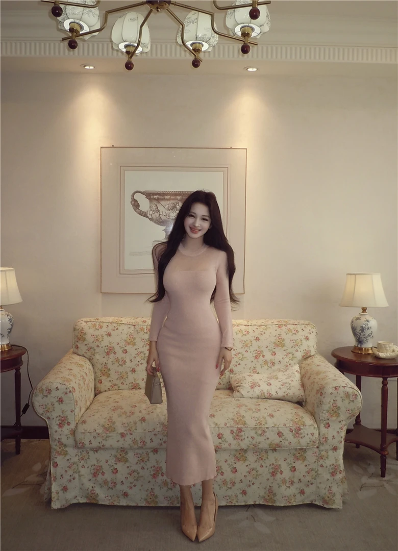 2025冬季新款纯欲风气质时尚设计感网纱圆领长袖包臀连衣长裙女潮