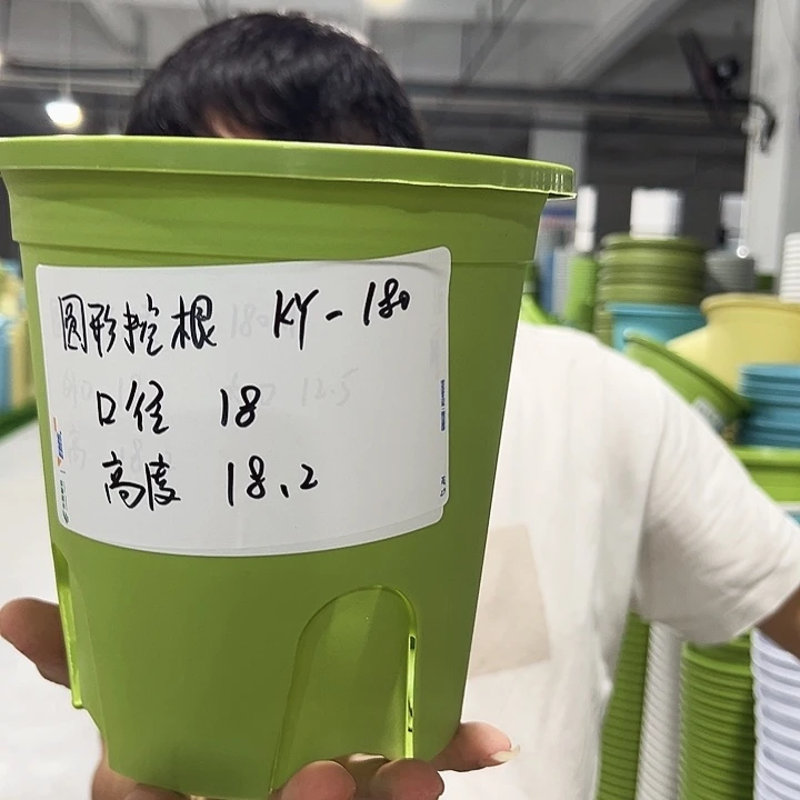 正品圆控口18高18果绿无托8只