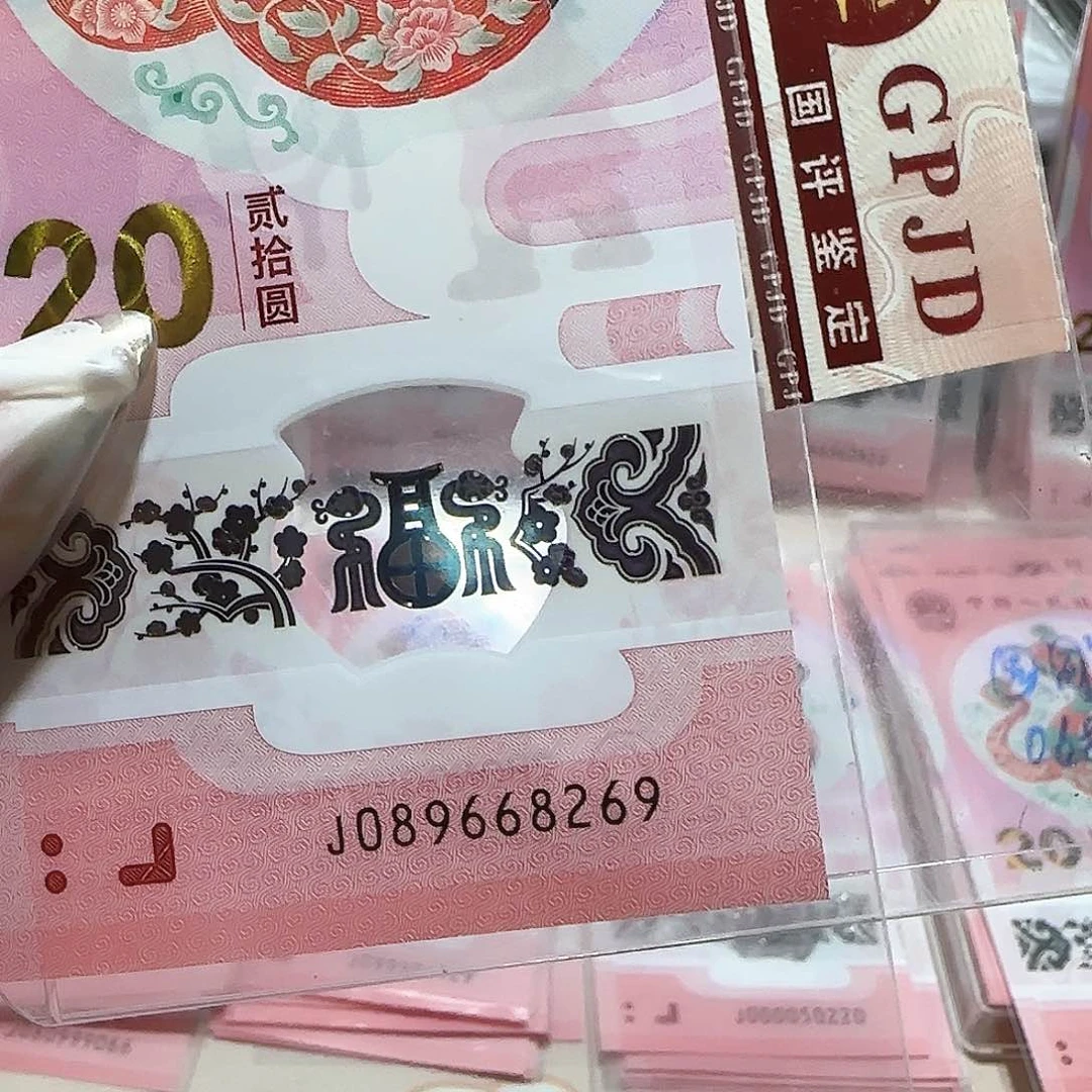 纸089668269。。。。。龙珠充实号