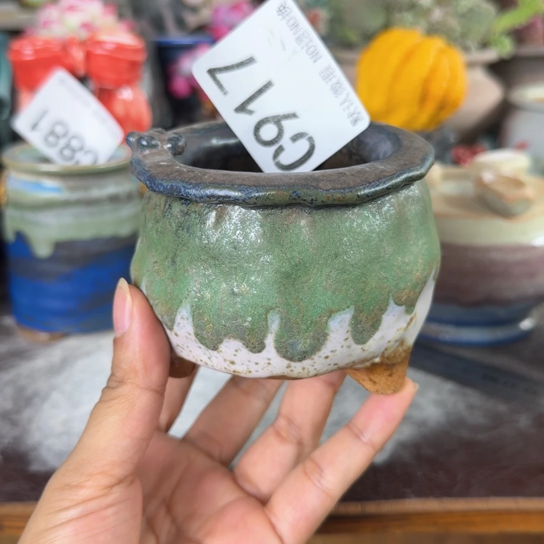 重庆小燕子欢迎大家917