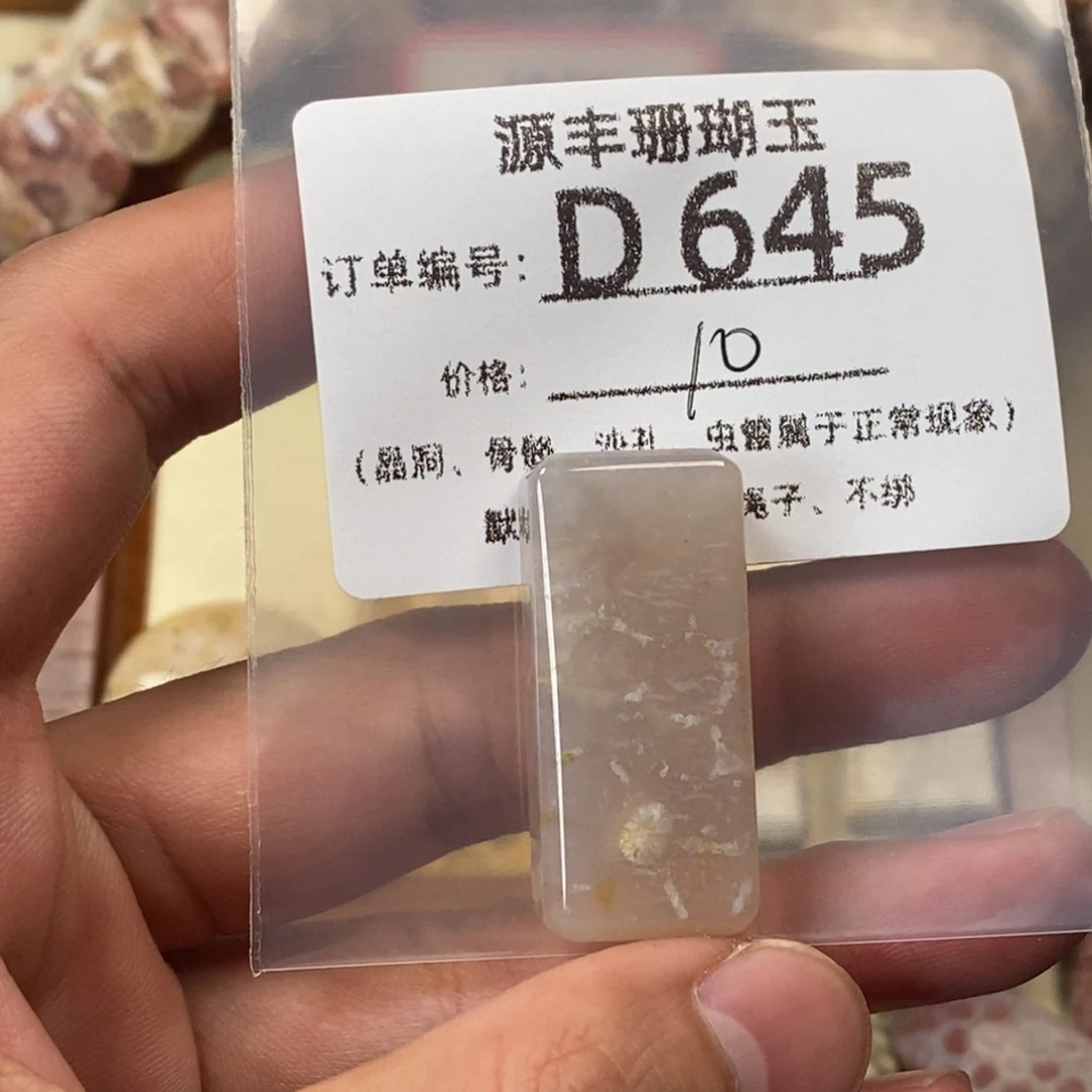 咩***~硅化玉未镶嵌颈饰