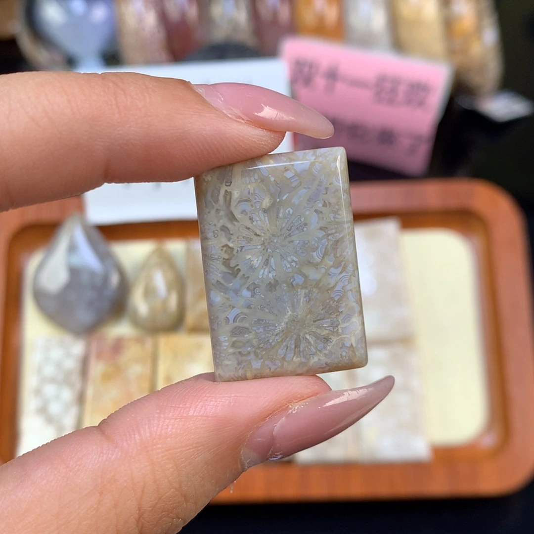 【闪购商品】颈饰未镶嵌硅化珊瑚（珊瑚玉）夏*
