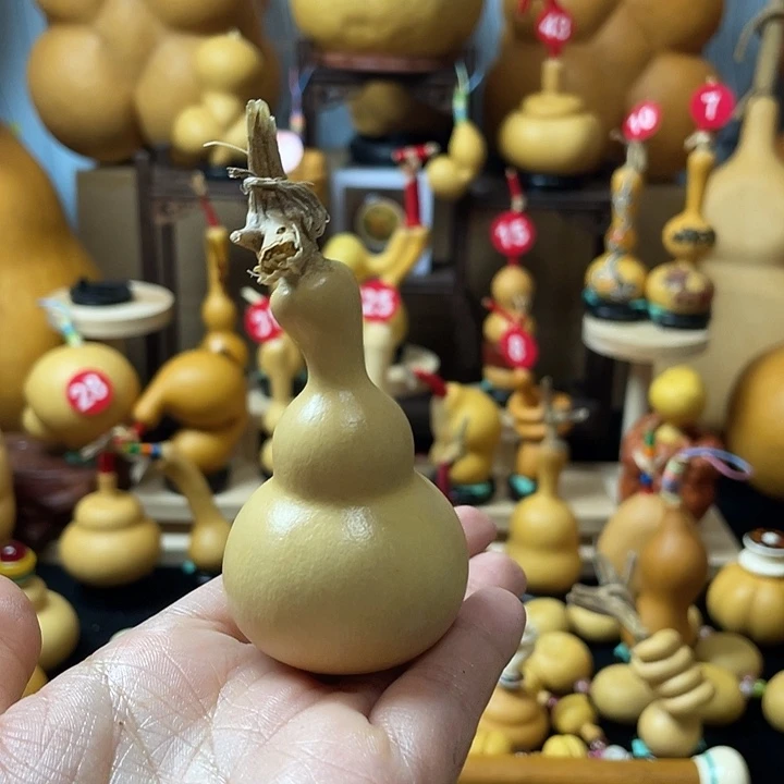 抖***7葫芦丝独奏演员演技还是