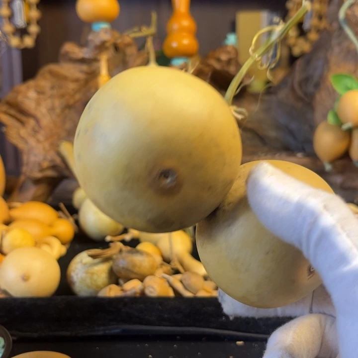 明*聚友葫芦五弟发发发