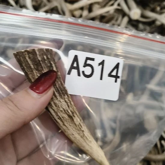 闲***事鹿角鹿角鹿角鹿角鹿角