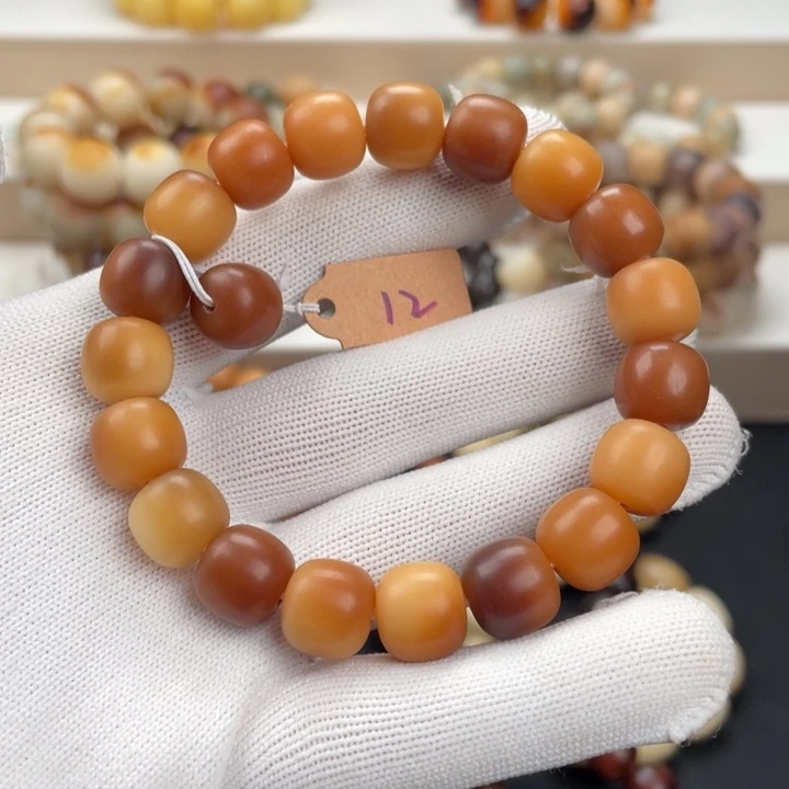 菩提根/象牙果吊坠卡12加州阳光