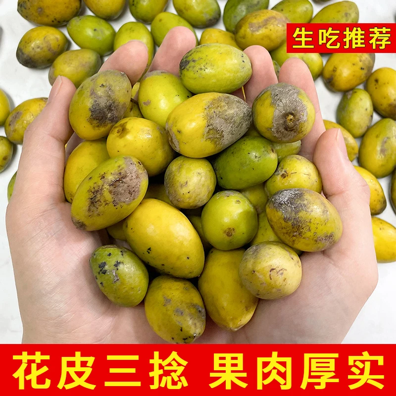 潮汕大妈 花皮三捻橄榄正宗金灶老树三棱橄榄酥脆甘香新鲜水果
