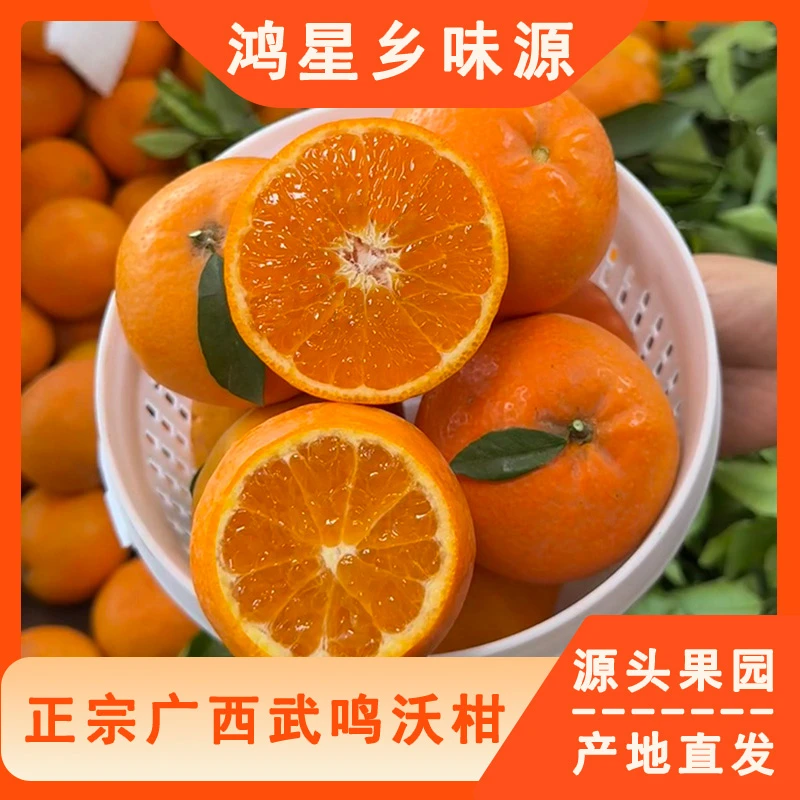 正宗广西武鸣沃柑新鲜采摘现摘现发源头果园直发皮薄肉厚爆汁爆甜