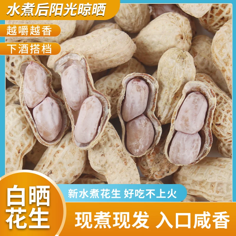 正宗闽西龙岩特产水煮日晒花生五香蒜香口味休闲解馋下酒美味零食